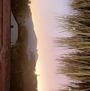 Meet your Posher, Fabian